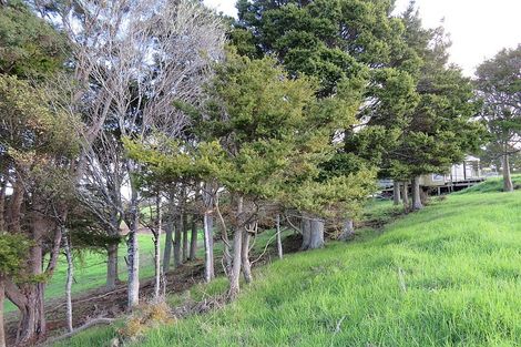 Photo of property in 300 Arapaoa Road, Tinopai, 0593