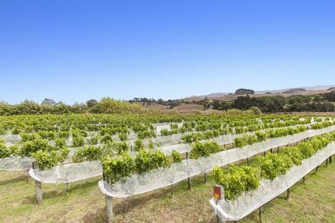 Photo of property in 6 Hamilton Road, Warkworth, 0982