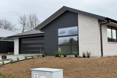Photo of property in 19 Keri Rua Road, Leamington, 3495