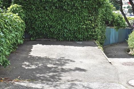 Photo of property in 4 Nikau Street, Newtown, Wellington, 6021