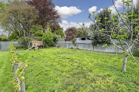 Photo of property in 805 Maitland Crescent, Mayfair, Hastings, 4122