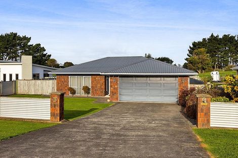 Photo of property in 9 Hobson Street, Normanby, Hawera, 4614