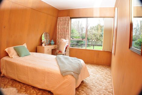 Photo of property in 191 The Terrace, Ashhurst, 4810