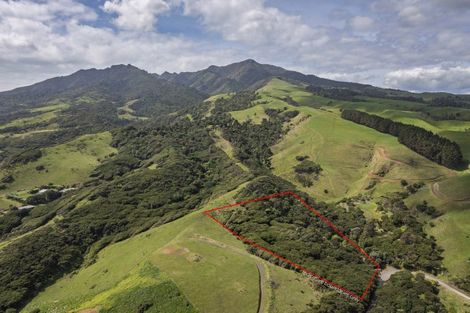 Photo of property in 1615 Whaanga Road, Raglan, 3296