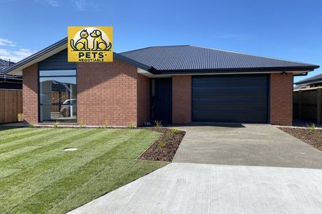 Photo of property in 5 Curtis Street, Woodend, 7610