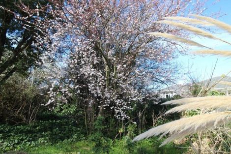 Photo of property in 9 Opie Street, Waimate, 7924