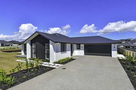 Photo of property in 83 Harriet Johnston Drive, Pokeno, 2402