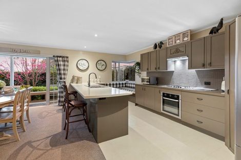 Photo of property in 26a Glen Terrace, Te Puke, 3119