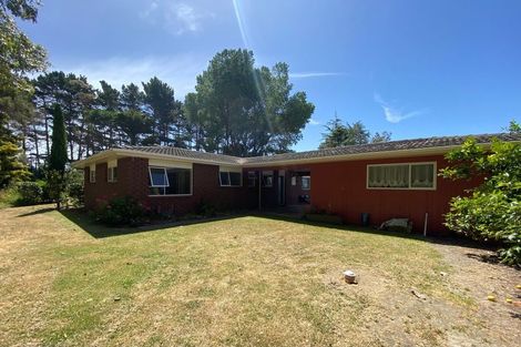 Photo of property in 906 State Highway 1, Himatangi, Foxton, 4891