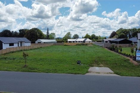 Photo of property in 31 Catalyst Avenue, Leamington, 3432