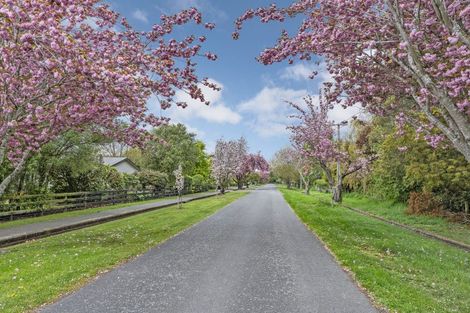 Photo of property in 2 Sarsfield Street, Southbridge, 7602