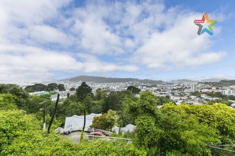 Photo of property in 58 Fairlie Terrace, Kelburn, Wellington, 6021