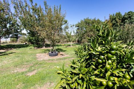 Photo of property in 111 Umutaoroa Road, Dannevirke, 4978