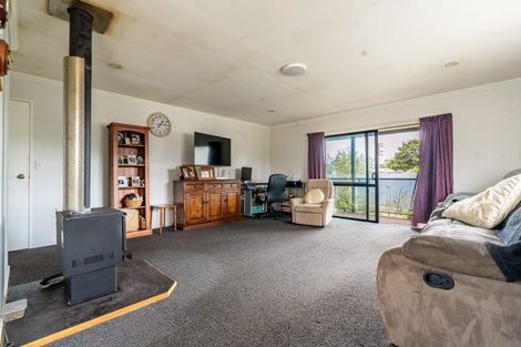 Photo of property in 3 Queen Street, Milton, 9220