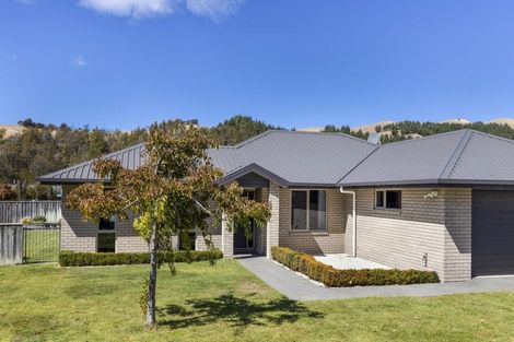 Photo of property in 223 Taylor Pass Road, Witherlea, Blenheim, 7201