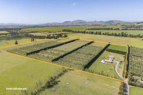 Photo of property in 206 Mount Brown Road, Glasnevin, Amberley, 7482