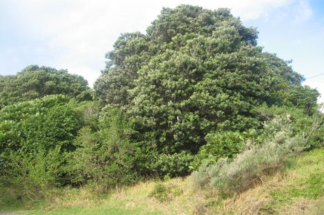 Photo of property in 13 Pingau Street, Paekakariki, 5034