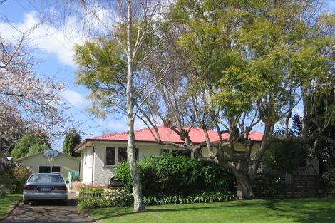 Photo of property in 20 Greerton Road, Gate Pa, Tauranga, 3112
