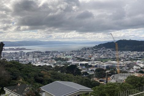 Photo of property in 21 Dorking Road, Brooklyn, Wellington, 6021