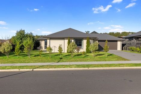 Photo of property in 56 Tynan Street, Te Puke, 3119