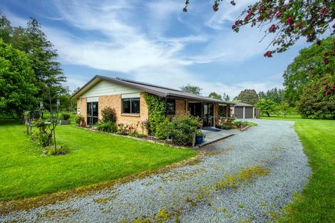 Photo of property in 278 Talbot Street, Geraldine, 7930