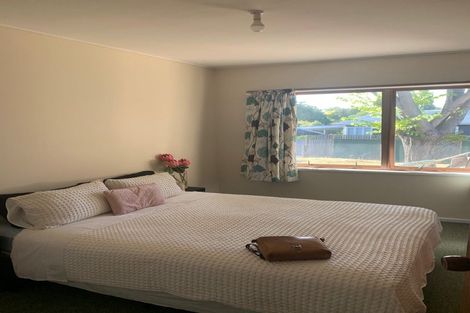 Photo of property in 20 Margaret Avenue, Havelock North, 4130