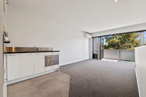 Photo of property in 139b Olliviers Road, Phillipstown, Christchurch, 8011