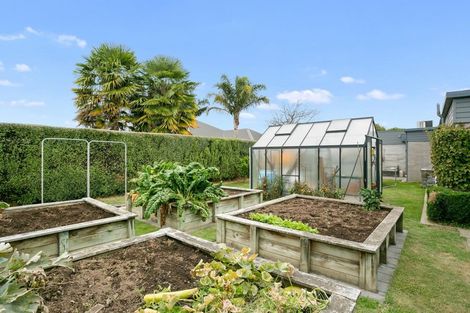 Photo of property in 13 Kaimai Drive, Matamata, 3400