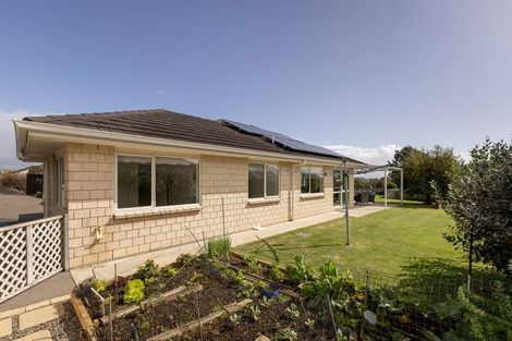 Photo of property in 9 Parkland Rise, Omokoroa, 3114