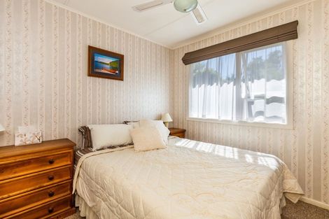 Photo of property in 101 Te Rangitautahanga Road, Turangi, 3334