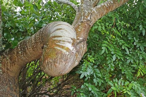 Photo of property in 178 Bald Hill Road, Waiuku, 2681