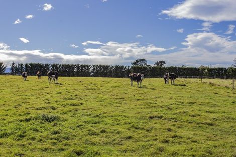 Photo of property in 54 Bayley Road, Fernside, Rangiora, 7471