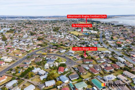 Photo of property in 2/12 De Bloge Place, Clendon Park, Auckland, 2103