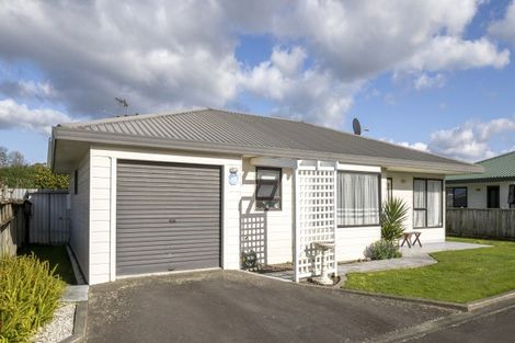 Photo of property in 1/188 Dixon Street, Masterton, 5810
