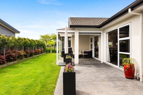 Photo of property in 21 Meissner Road, Havelock North, 4130