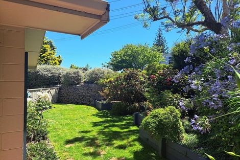 Photo of property in 46 Brookfield Terrace, Brookfield, Tauranga, 3110