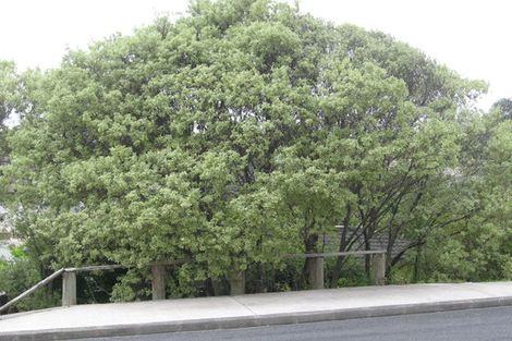 Photo of property in 1/16 Rossmore Terrace, Murrays Bay, Auckland, 0630