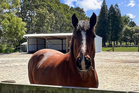 Photo of property in 97f Poplar Lane, Edgecumbe, Whakatane, 3192