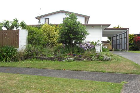 Photo of property in 18 Bledisloe Court, Pukekohe, 2120