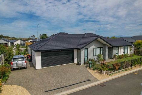 Photo of property in 13 Mellifera Place, Richmond, 7020