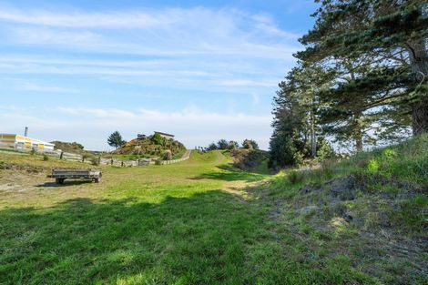 Photo of property in 17 Uxbridge Terrace, Waikawa Beach, Levin, 5573