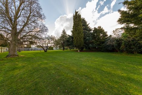 Photo of property in 191 The Terrace, Ashhurst, 4810