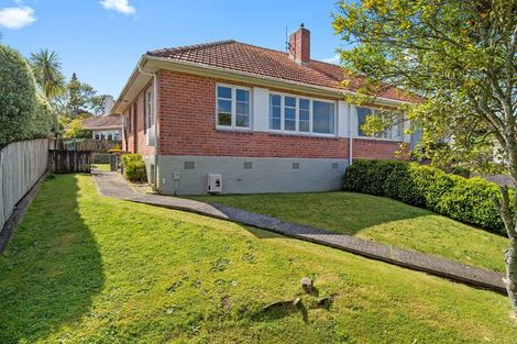 Photo of property in 20 Plunket Terrace, Hamilton East, Hamilton, 3216