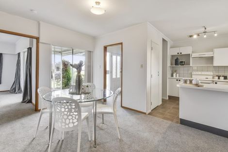 Photo of property in 20 Sunnypark Avenue, Rosehill, Papakura, 2113