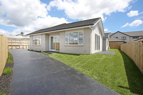 Photo of property in 19 Emsworth Court, Pukekohe, 2120