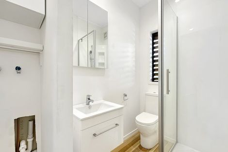 Photo of property in 2f Wilton Street, Grey Lynn, Auckland, 1021