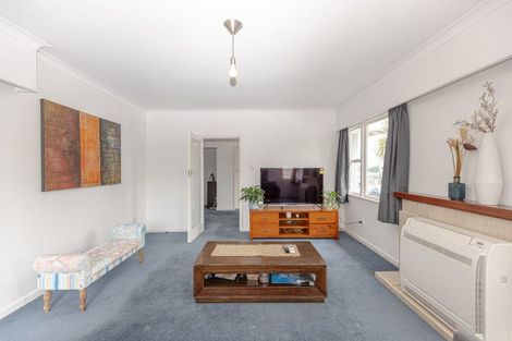 Photo of property in 113 Ingestre Street, Whanganui, 4500