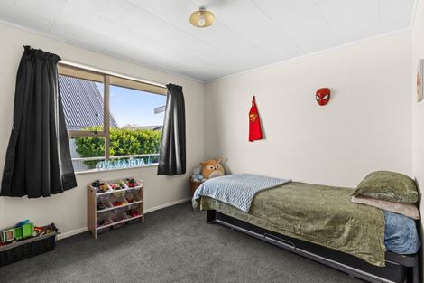 Photo of property in 43 Ryan Crescent, Greenmeadows, Napier, 4112