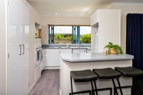 Photo of property in 167a Clarkin Road, Fairfield, Hamilton, 3214