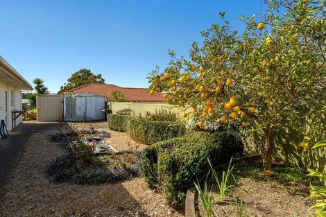 Photo of property in 31 Stephens Place, Hairini, Tauranga, 3112